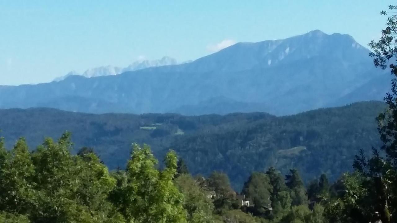 Muellnerhaus Daire Millstatt Dış mekan fotoğraf