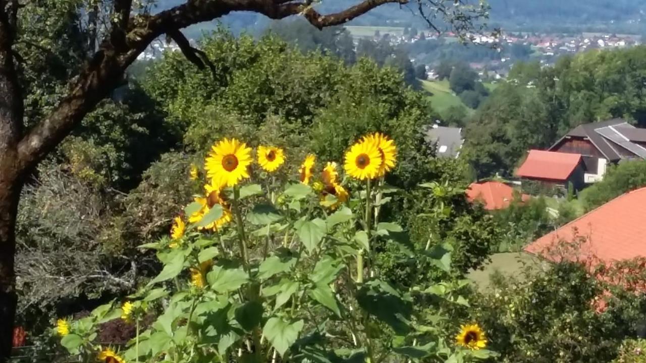 Muellnerhaus Daire Millstatt Dış mekan fotoğraf