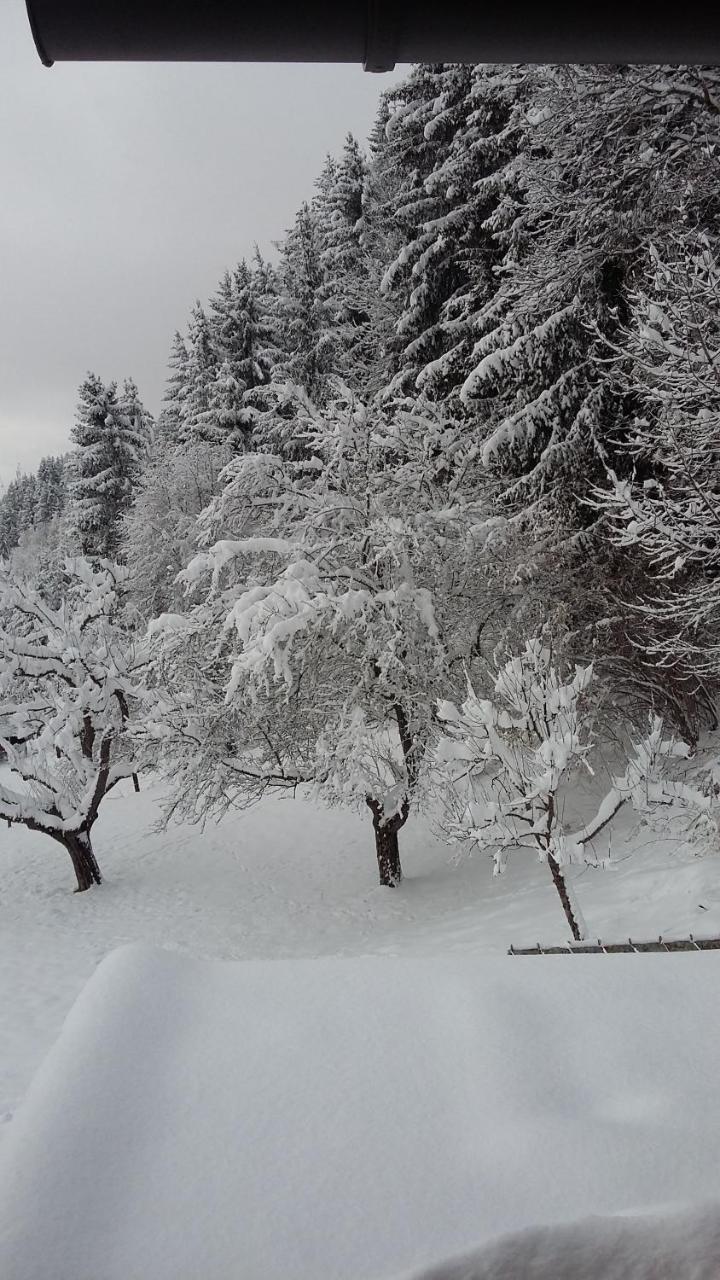 Muellnerhaus Daire Millstatt Dış mekan fotoğraf