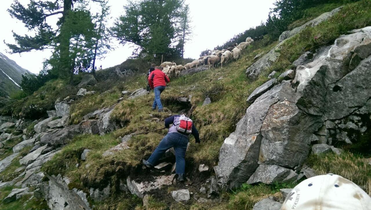 Muellnerhaus Daire Millstatt Dış mekan fotoğraf