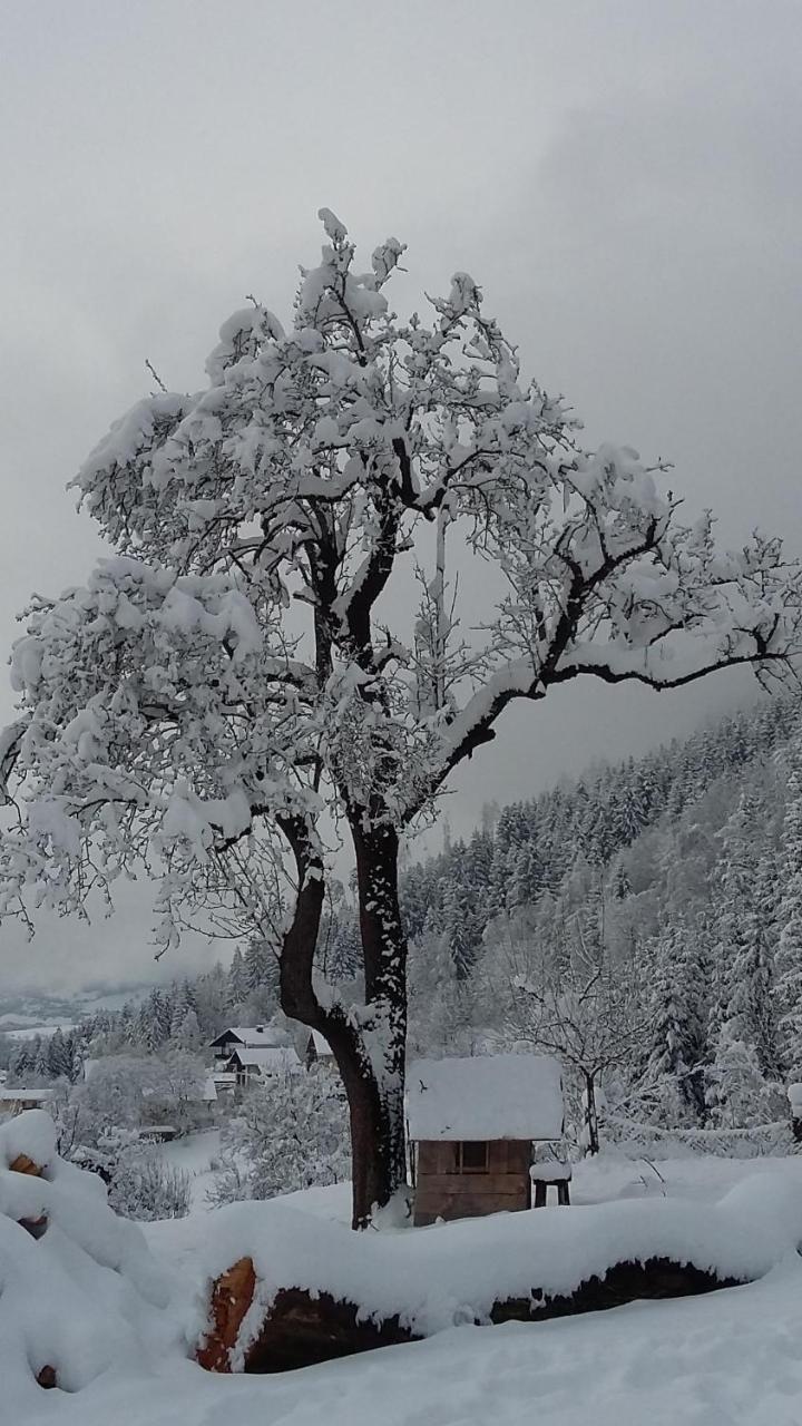 Muellnerhaus Daire Millstatt Dış mekan fotoğraf